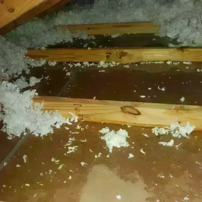 Attic Water Damage in Vestavia Hills, AL